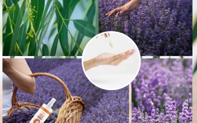 Kako prirodne esencije lavande i eukaliptusa pomažu u prevenciji vaški