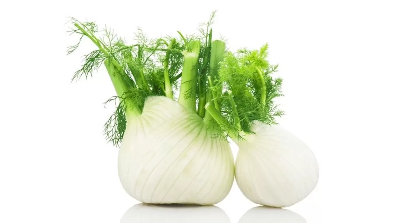 Komorač