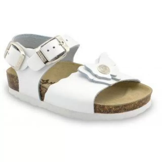 GRUBIN BUTTERFLY bela