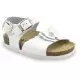 GRUBIN BUTTERFLY bela