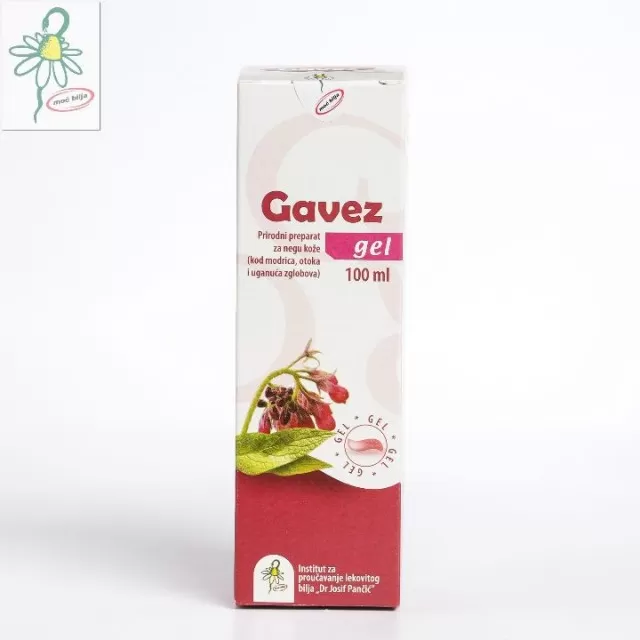 GAVEZ GEL 100ML JP