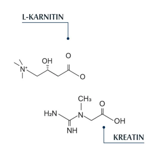 EUCERIN DERMOCAPILLAIRE REVITALIZIRAJUĆI ŠAMPON 250ML