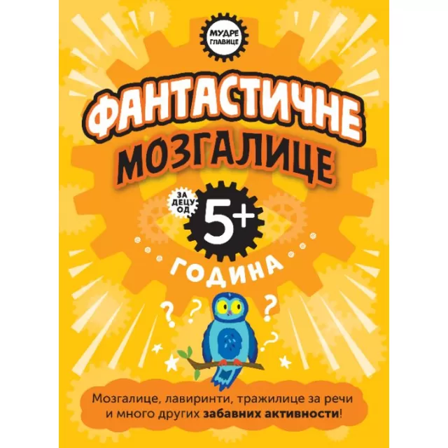 VULKAN MUDRE GLAVICE: FANTASTIČNE MOZGALICE ZA DECU OD 5+ GODINA