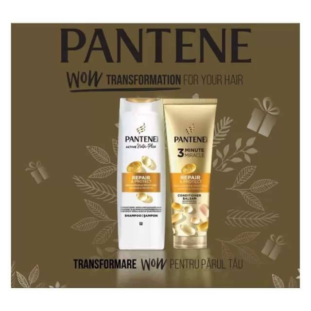 PANTENE SET REPAIR PROTECT ( ŠAMPON 400ML + BALZAM 220ML )