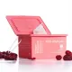 ONE DAY'S YOU COLLAGEN 30 DAYS MASKE ZA LICE A30