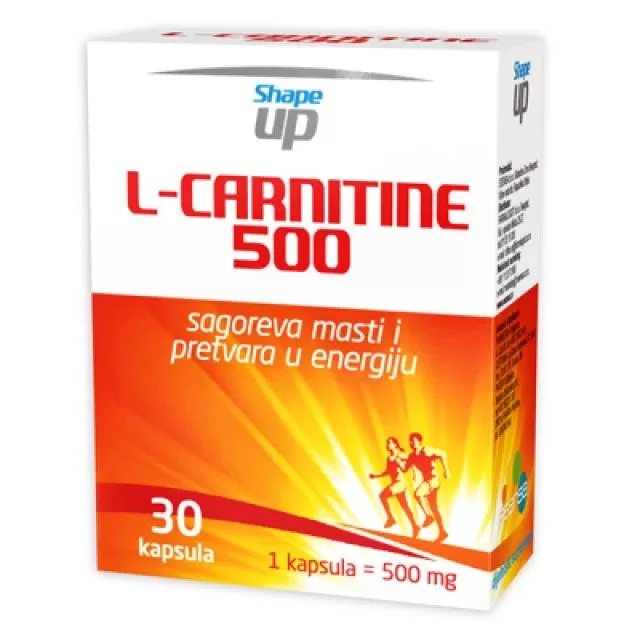 L CARNITINE 500 KAPSULE A30