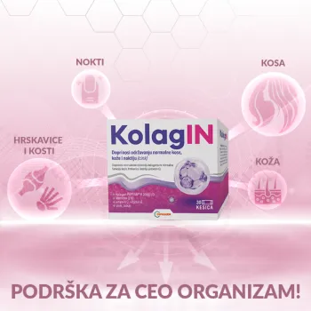 KOLAGIN KOLAGEN KESICE A30