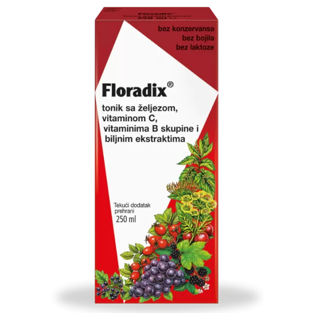 FLORADIX SIRUP SA GVOŽĐEM 250ML